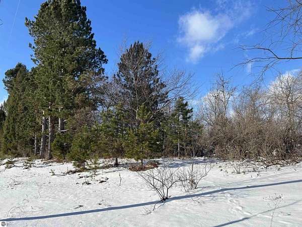 9.53 Acres of Residential Land for Sale in Beulah, Michigan