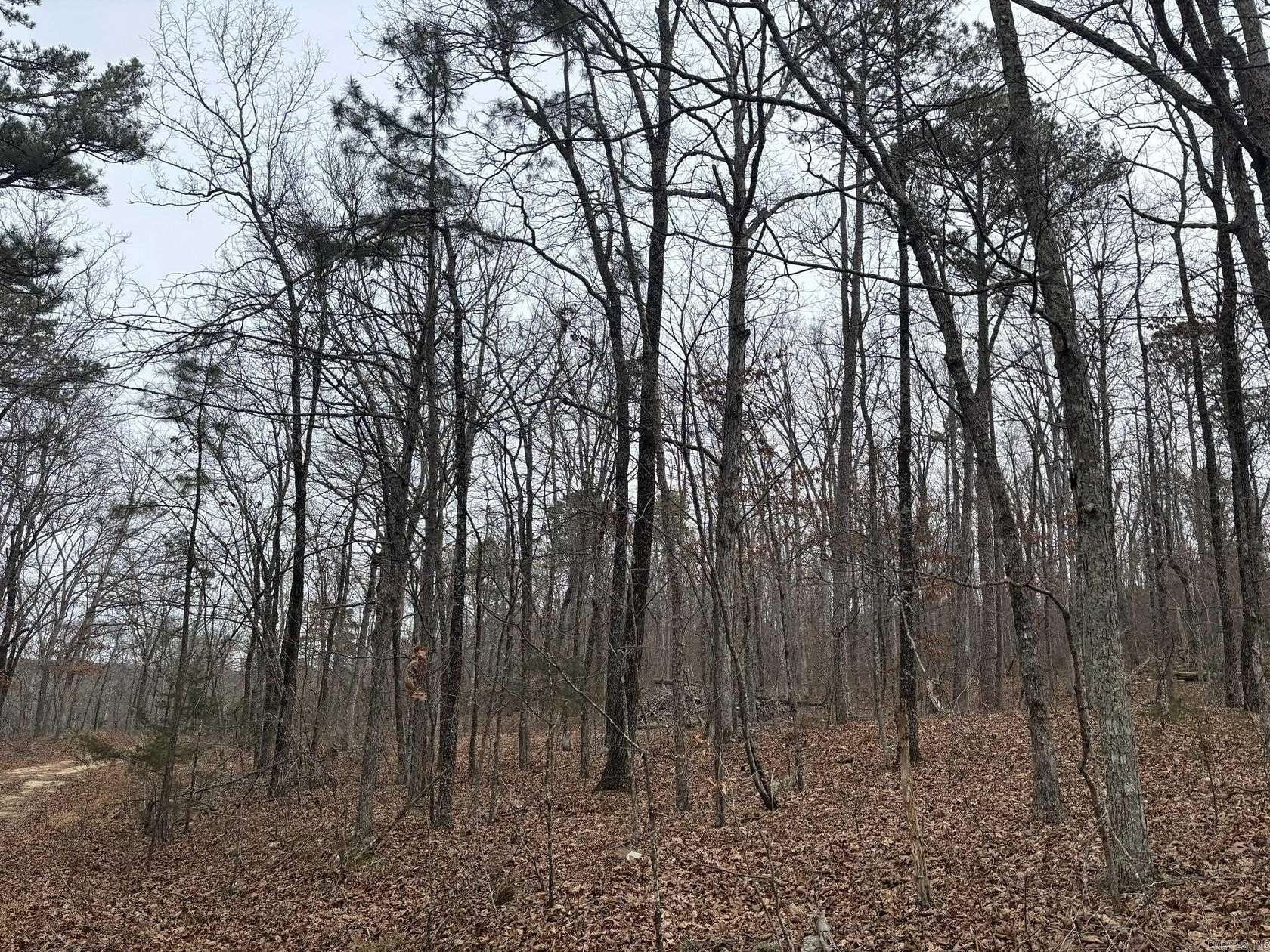 10 Acres of Recreational Land for Sale in Clinton, Arkansas