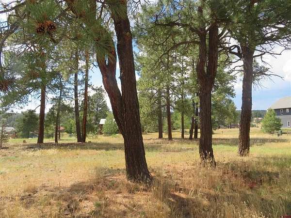 0.22 Acres of Residential Land for Sale in Pagosa Springs, Colorado
