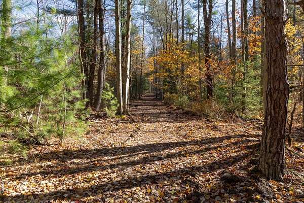 86 Acres of Recreational Land for Sale in Eden, New York