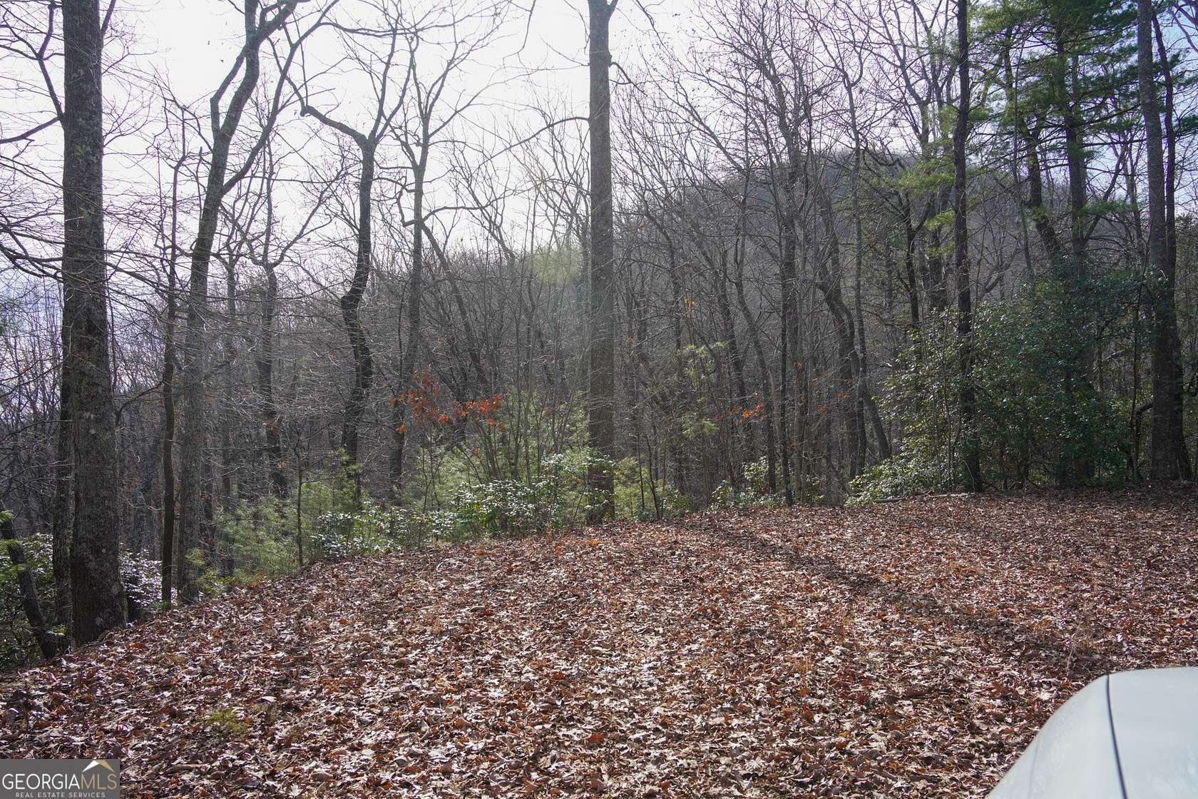 3.28 Acres of Land for Sale in Tiger, Georgia