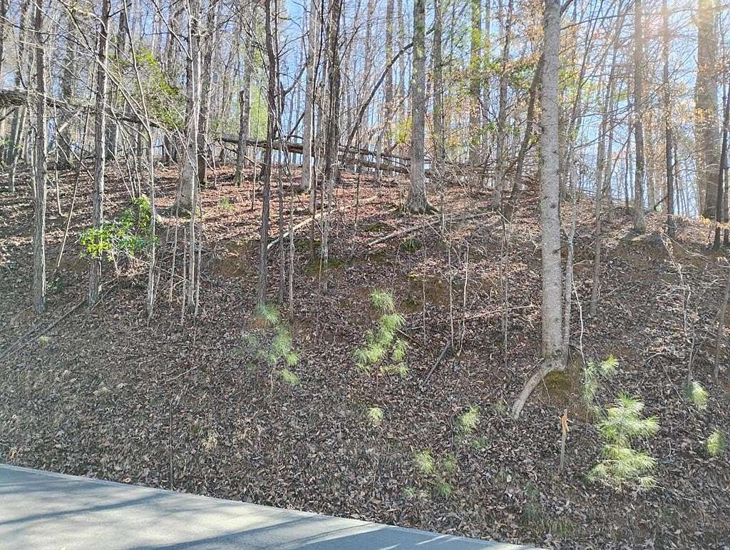 1.2 Acres of Residential Land for Sale in Ellijay, Georgia