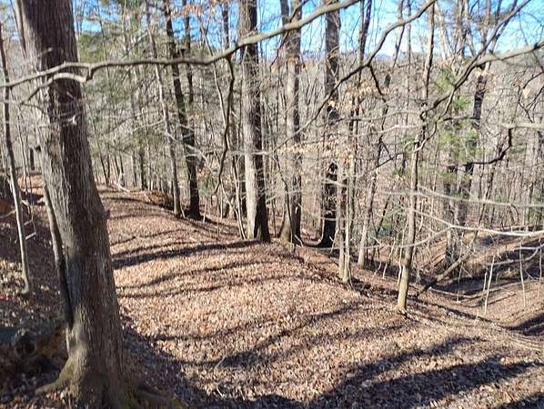1.2 Acres of Residential Land for Sale in Ellijay, Georgia