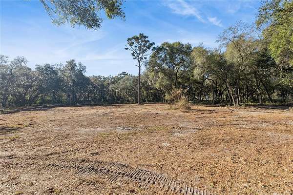 5.86 Acres of Residential Land for Sale in Geneva, Florida