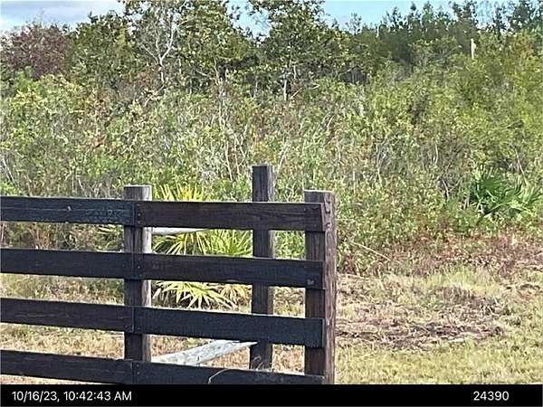 23.7 Acres of Recreational Land for Sale in Manor, Georgia