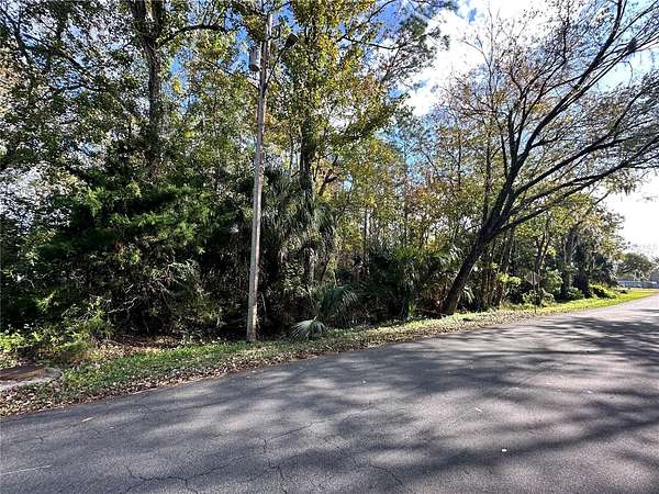 0.24 Acres of Residential Land for Sale in Bunnell, Florida