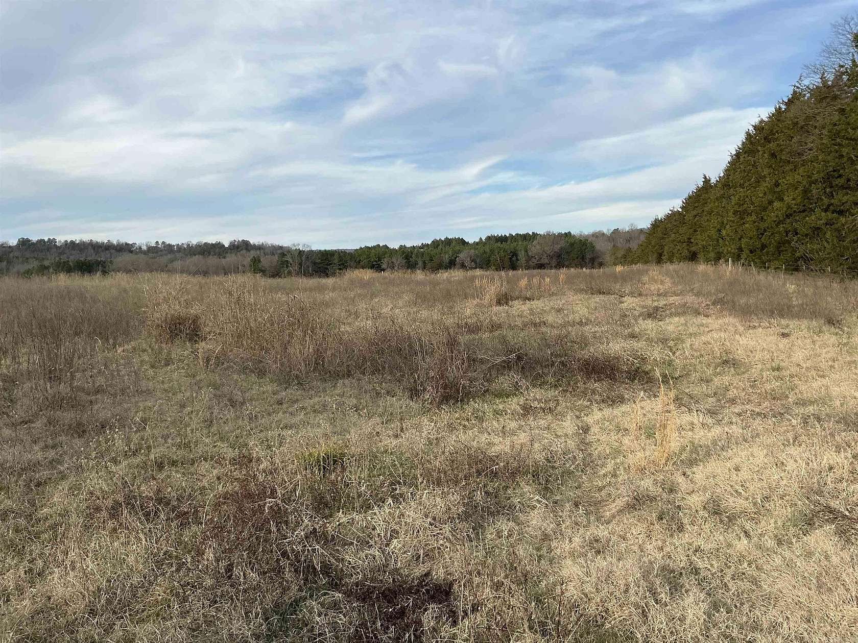 40 Acres of Agricultural Land for Sale in Greenbrier, Arkansas