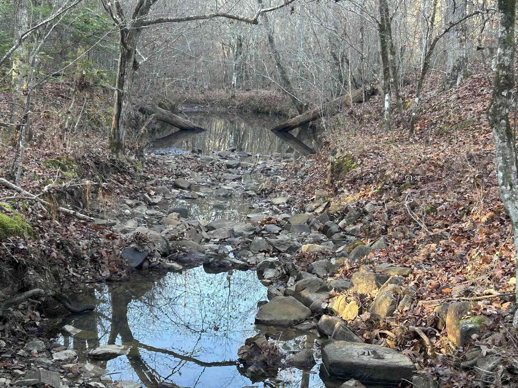 120 Acres of Recreational Land for Sale in Newhope, Arkansas