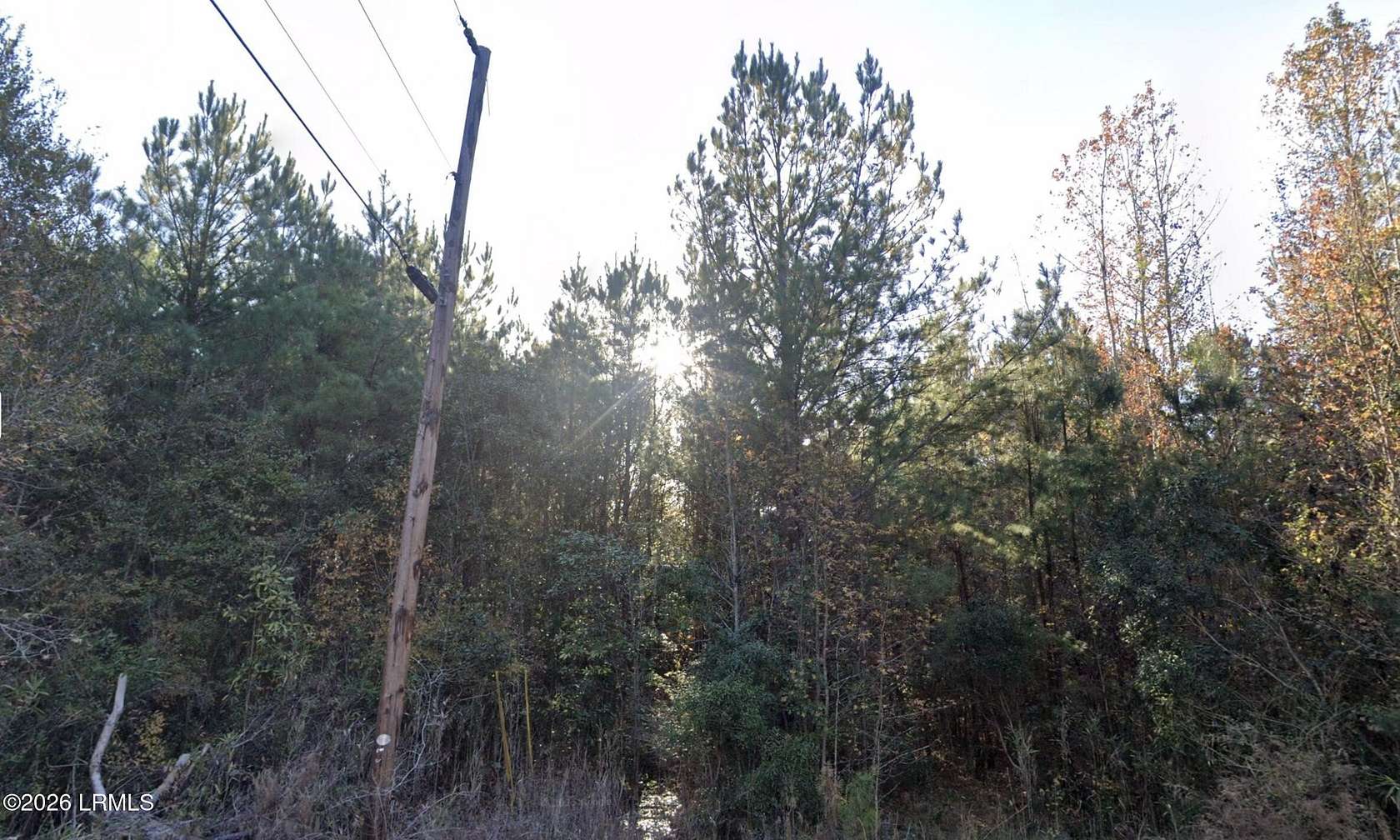 26.9 Acres of Land for Sale in Hampton, South Carolina