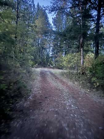 5 Acres of Residential Land with Home for Sale in Prospect, Oregon