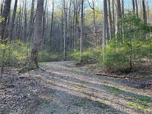 0.3 Acres of Residential Land for Sale in Fancy Gap, Virginia
