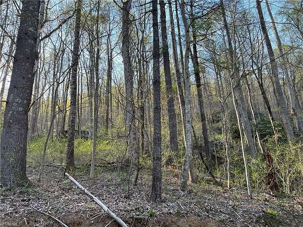 0.3 Acres of Residential Land for Sale in Fancy Gap, Virginia