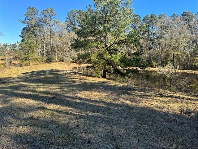 60 Acres of Recreational & Residential Land for Sale in Amite, Louisiana