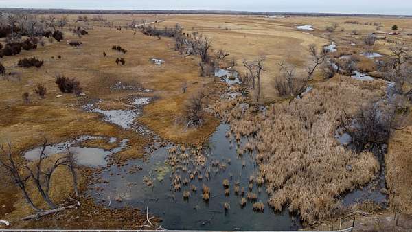 37 Acres of Land for Sale in Henry, Nebraska