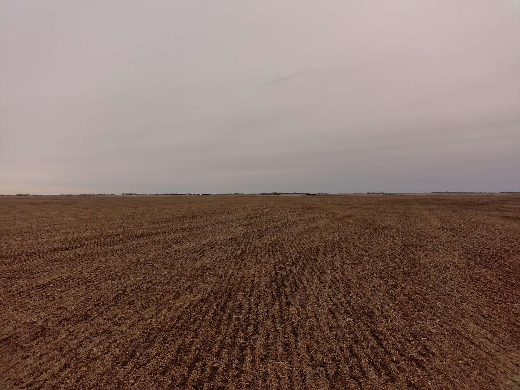 156 Acres of Recreational Land & Farm for Auction in Redfield, South Dakota