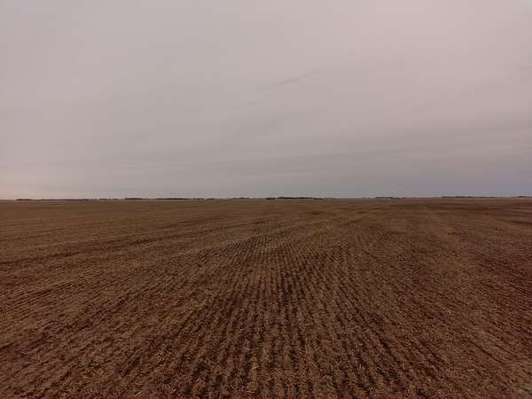 156 Acres of Recreational Land & Farm for Auction in Redfield, South Dakota