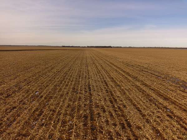 160 Acres of Recreational Land & Farm for Sale in Redfield, South Dakota