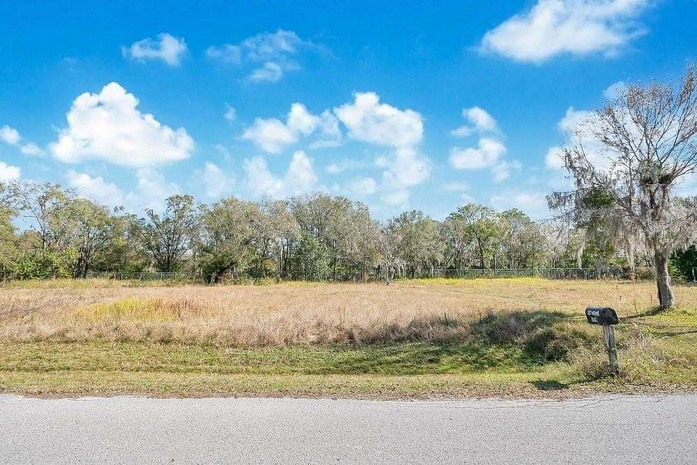 1 Acre of Residential Land for Sale in Lutz, Florida