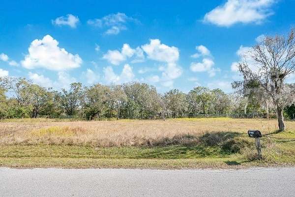 1 Acre of Residential Land for Sale in Lutz, Florida