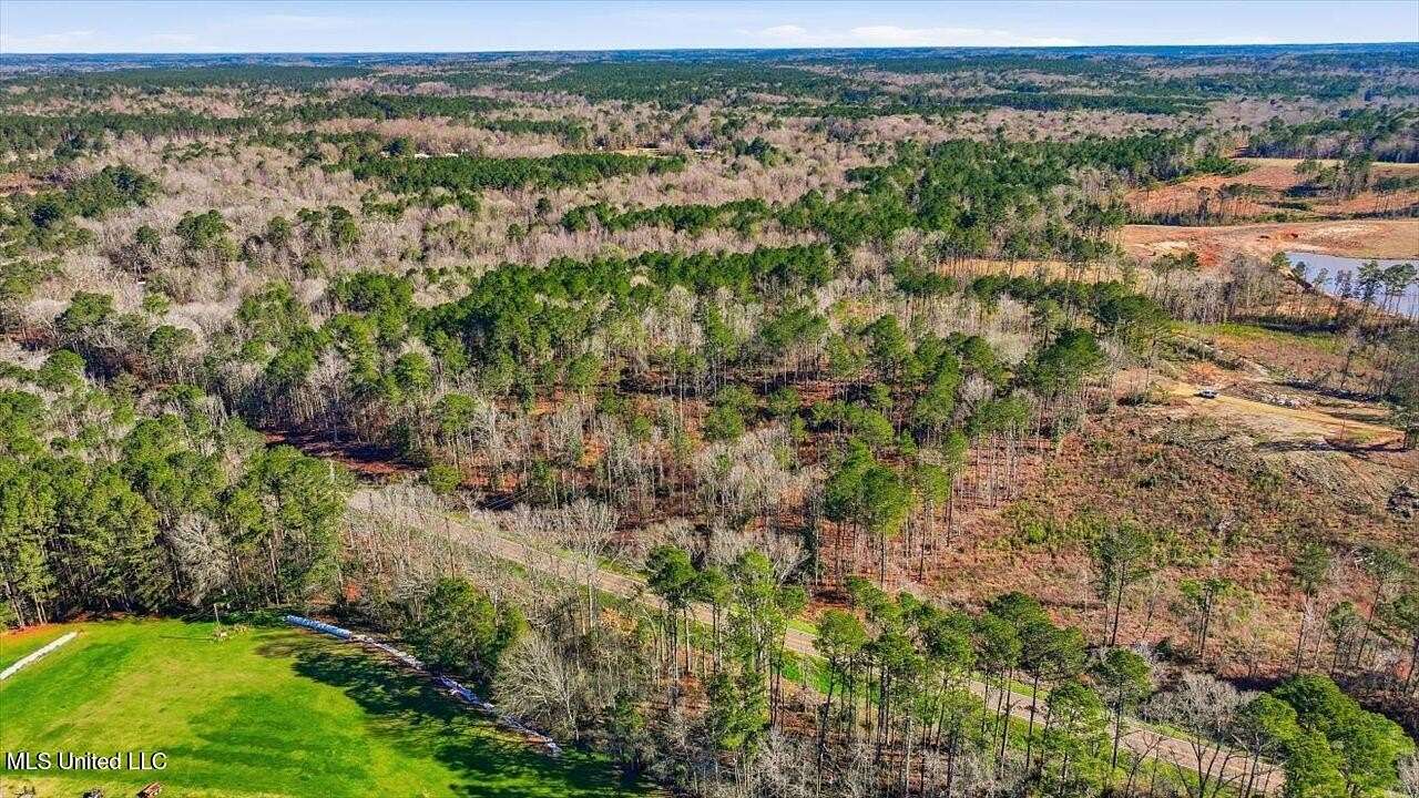 5 Acres of Residential Land for Sale in Mendenhall, Mississippi