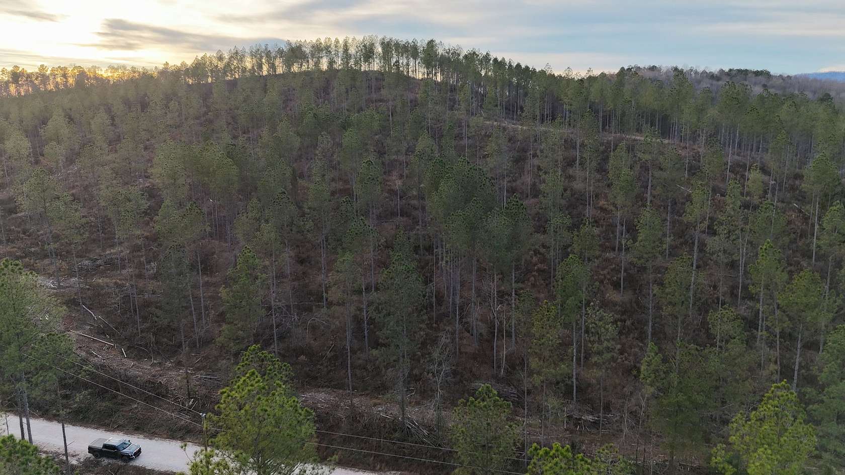 15.8 Acres of Land for Sale in Piedmont, Alabama