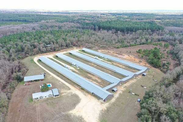 30 Acres of Agricultural Land for Sale in Samson, Alabama