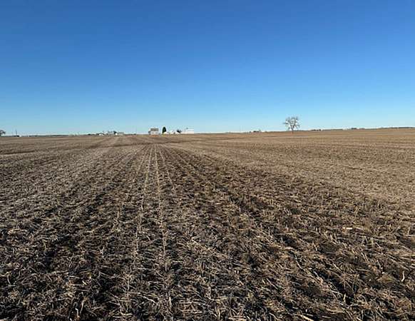 80.2 Acres of Land for Sale in Grand Ridge, Illinois