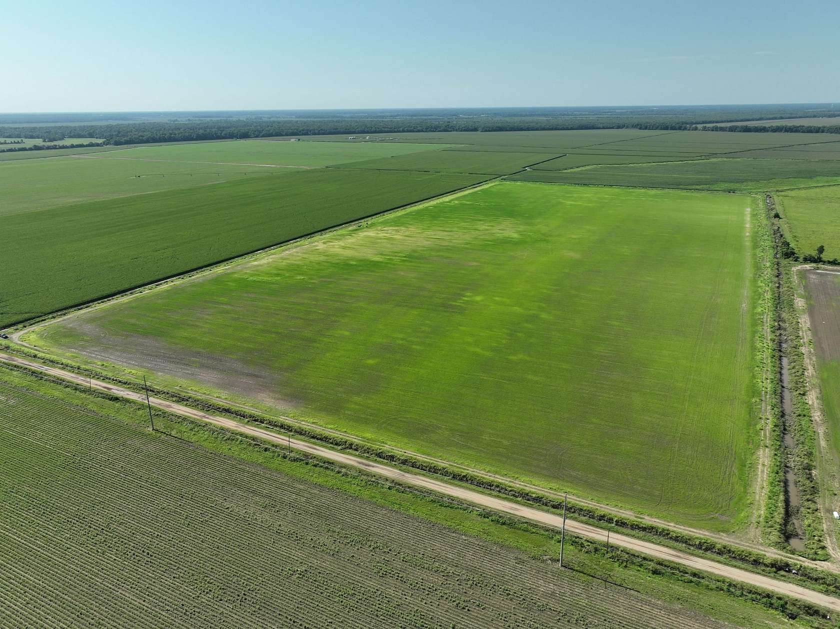 157 Acres of Recreational Land for Sale in Oak Ridge, Louisiana