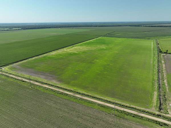 157 Acres of Recreational Land for Sale in Oak Ridge, Louisiana