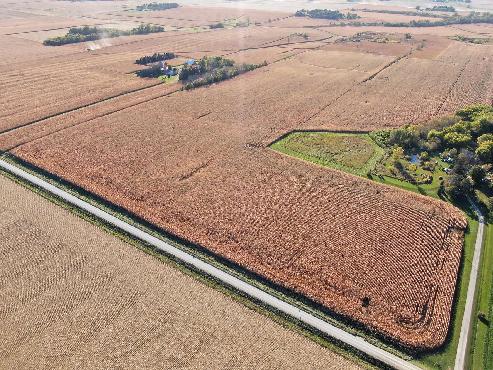 114 Acres of Land for Sale in Hayfield, Minnesota