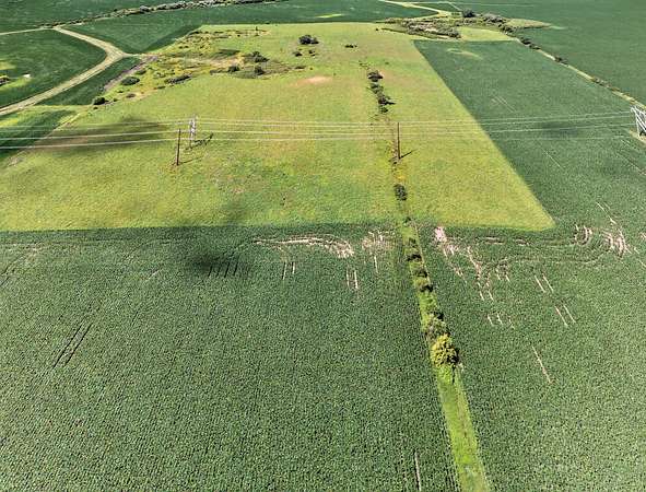 114 Acres of Recreational Land & Farm for Sale in Hayfield, Minnesota