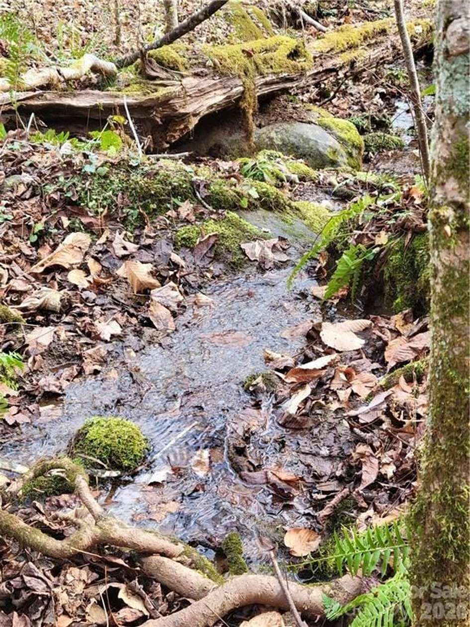 9.5 Acres of Recreational Land for Sale in Bakersville, North Carolina