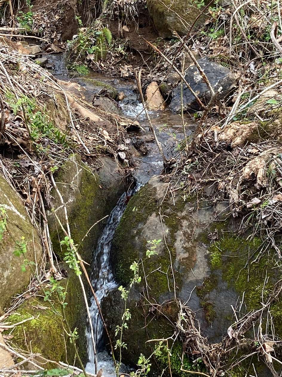 9.5 Acres of Recreational Land for Sale in Bakersville, North Carolina