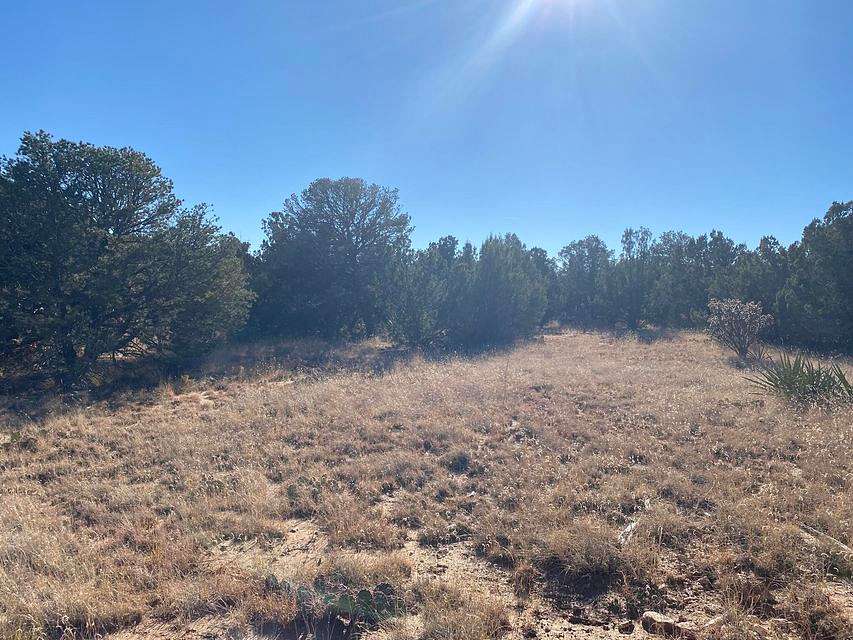 0.52 Acres of Residential Land for Sale in Edgewood, New Mexico