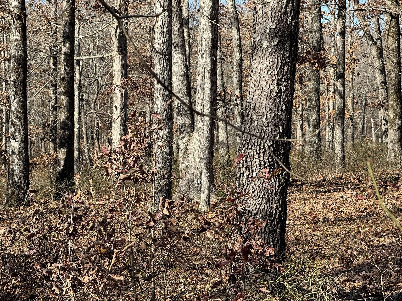 2 Acres of Residential Land for Sale in McEwen, Tennessee