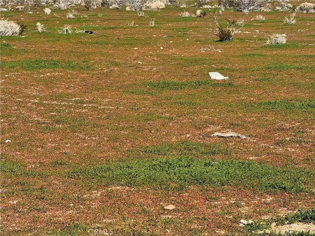 0.61 Acres of Residential Land for Sale in Morongo Valley, California