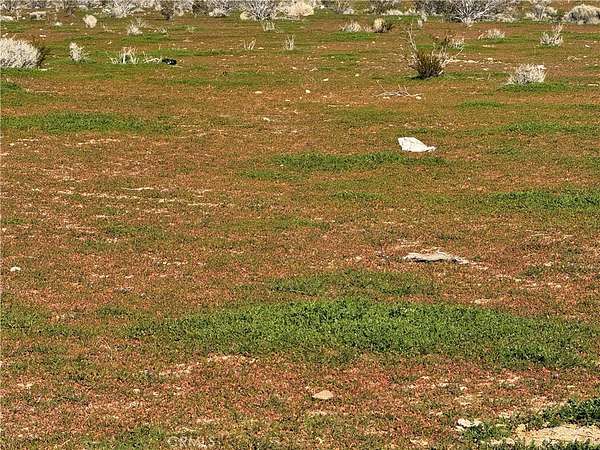 0.61 Acres of Residential Land for Sale in Morongo Valley, California