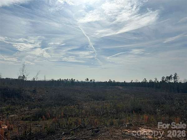 33 Acres of Land for Sale in Blackstock, South Carolina