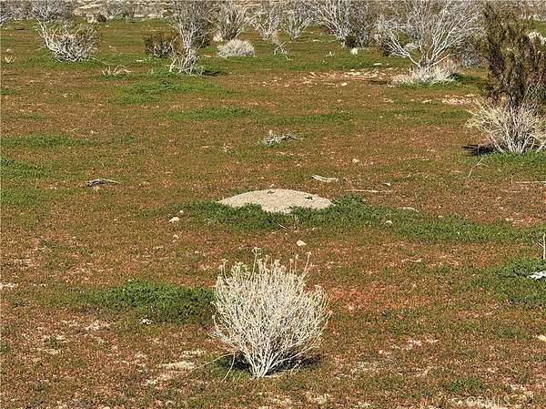 9.9 Acres of Land for Sale in Acton, California