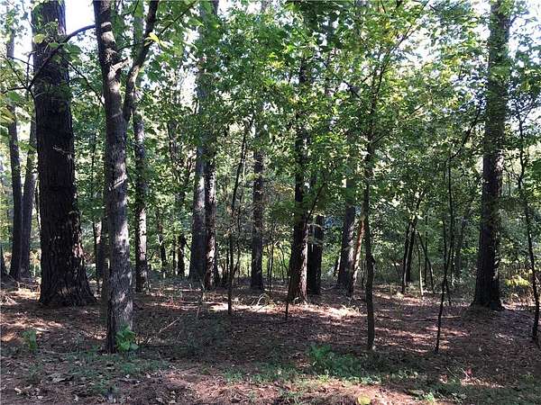 0.3 Acres of Residential Land for Sale in Bella Vista, Arkansas