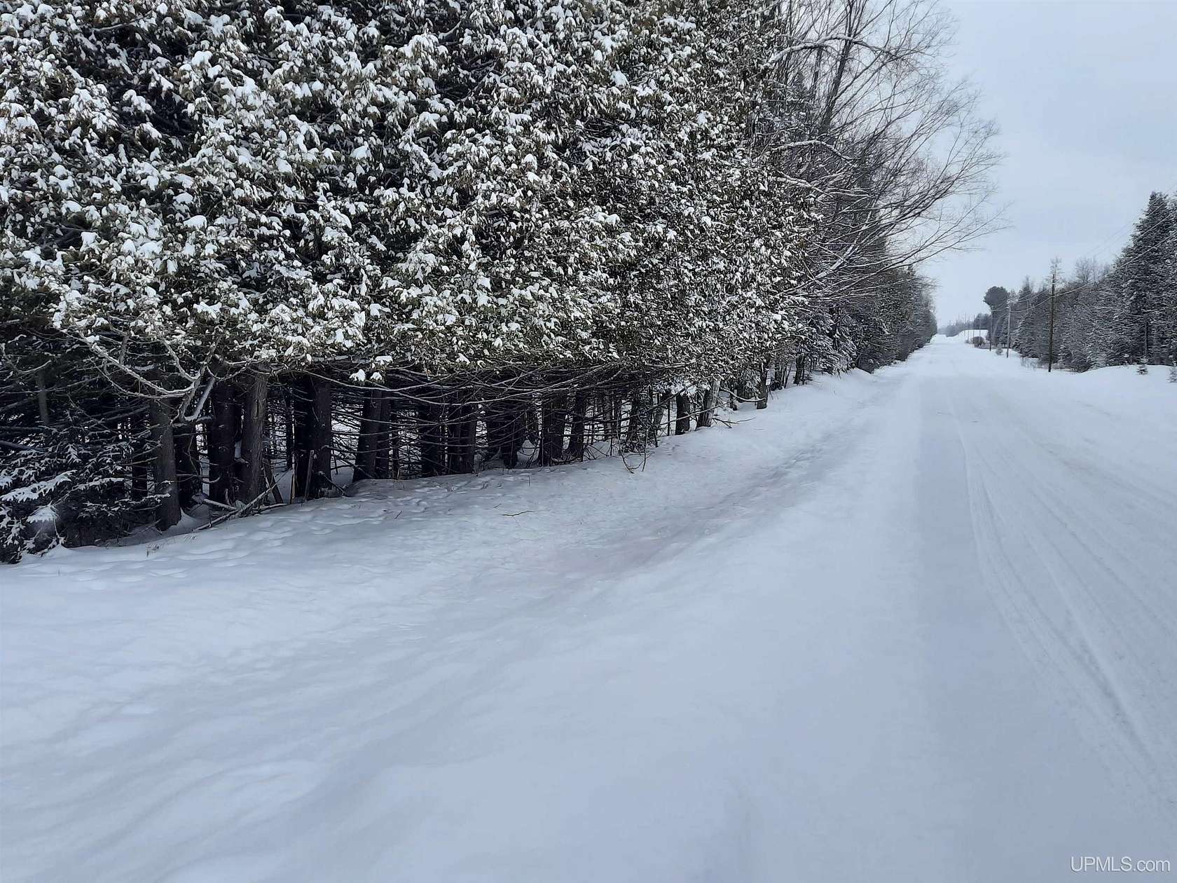 20 Acres of Recreational Land for Sale in Carney, Michigan