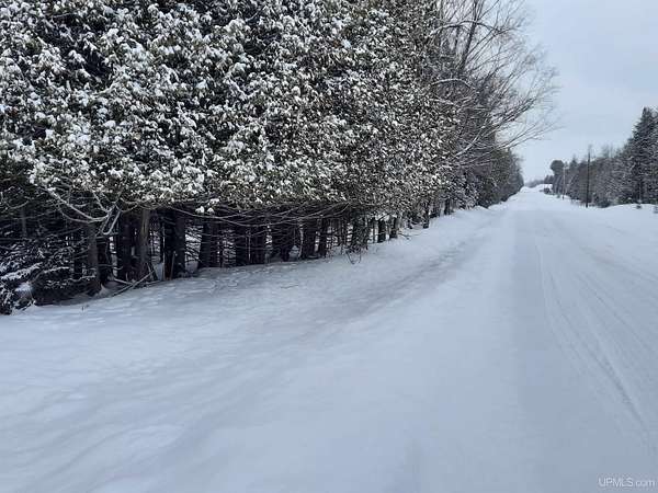 20 Acres of Recreational Land for Sale in Carney, Michigan