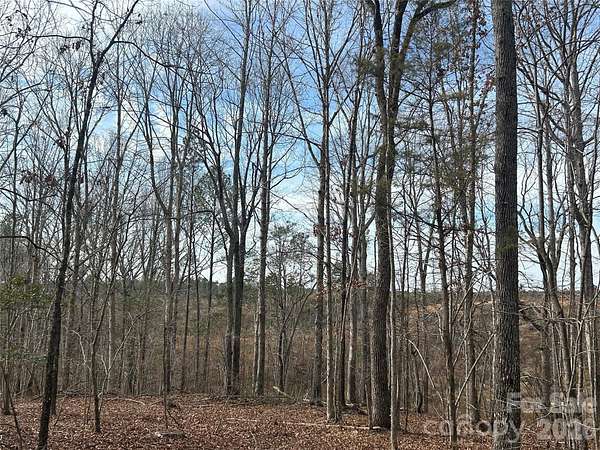 33 Acres of Land for Sale in Blackstock, South Carolina