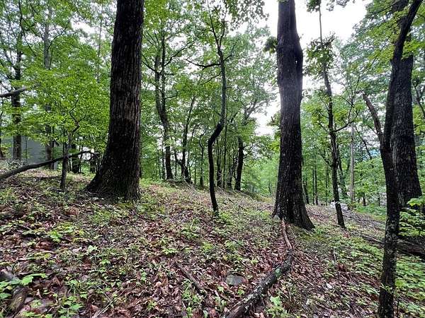 1 Acre of Residential Land for Sale in Jasper, Georgia