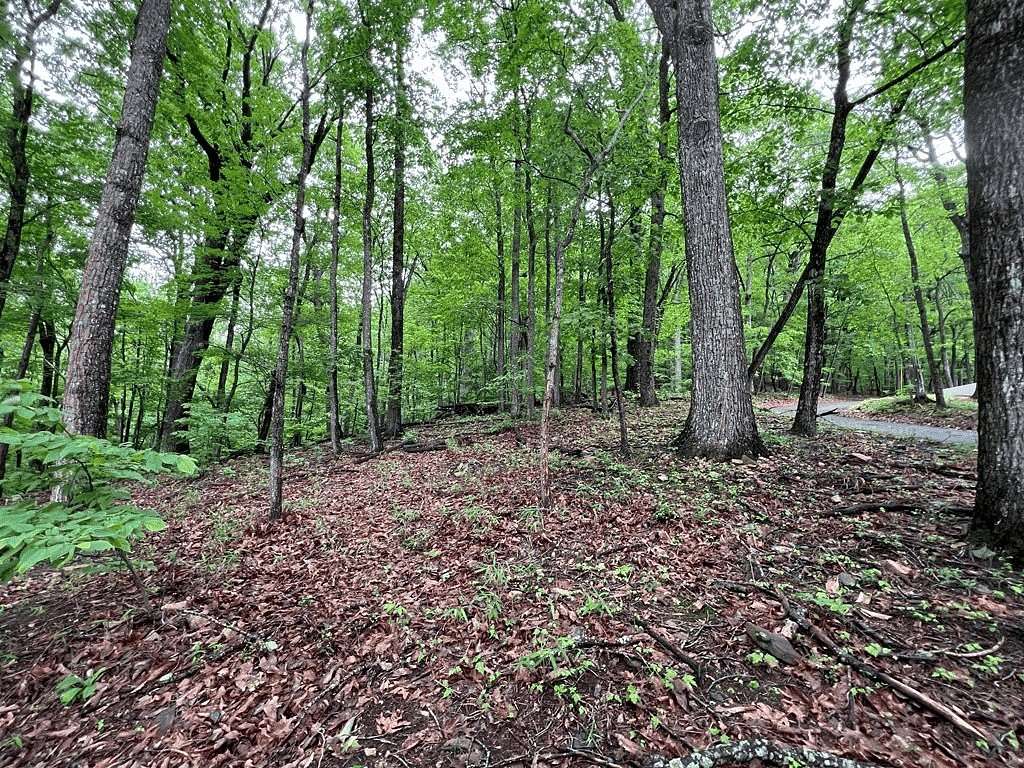 1 Acre of Land for Sale in Jasper, Georgia