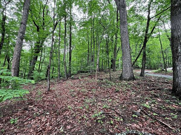 1 Acre of Land for Sale in Jasper, Georgia