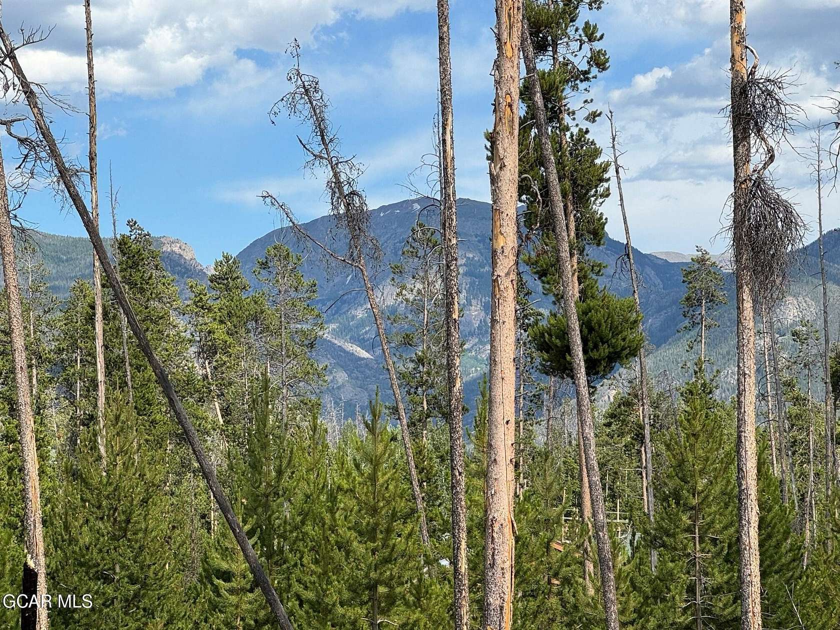 2.19 Acres of Residential Land for Sale in Grand Lake, Colorado