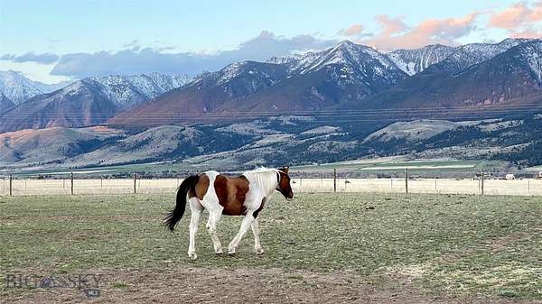 20 Acres of Land with Home for Sale in Livingston, Montana