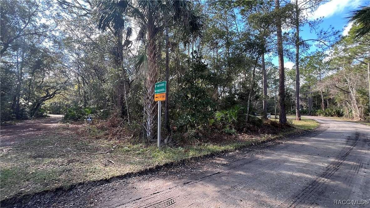 0.22 Acres of Residential Land for Sale in Homosassa, Florida