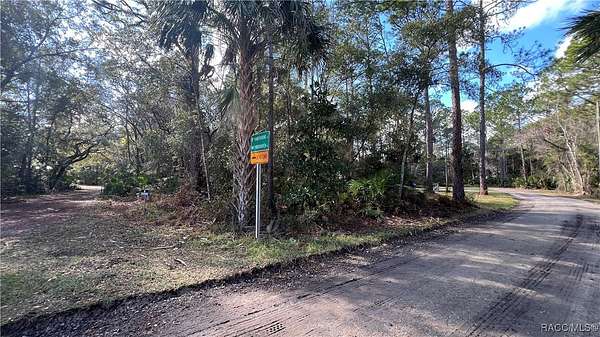 0.22 Acres of Residential Land for Sale in Homosassa, Florida